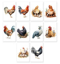 10 Handmade Chickens – Blank Inside – Folded 4x6 Every Occasion Cards with White Envelopes