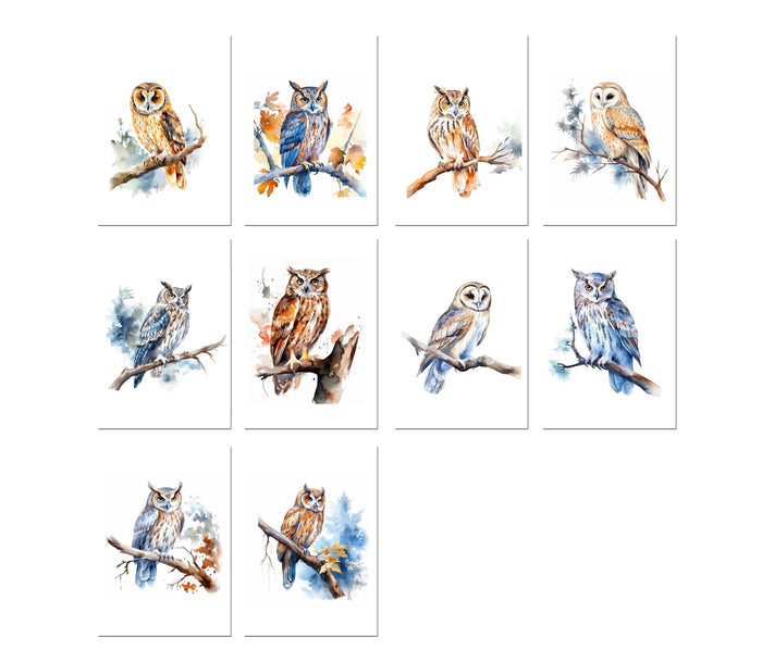 10 blank 4x6 handmade blank notecards with watercolor owls