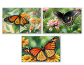 6 Handmade Butterflies – Blank Inside – Folded 4x6 Every Occasion Cards with White Envelopes
