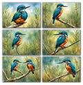 6 Handmade Kingfisher – Blank Inside – Folded 4x6 Every Occasion Cards with White Envelopes