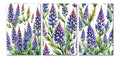 6 Handmade Lupine – Blank Inside – Folded 4x6 Every Occasion Cards with White Envelopes