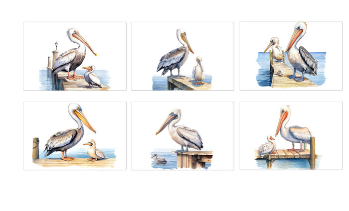 6 Pelicans Notecards All Occasion 4x6 with Envelopes Blank Folded