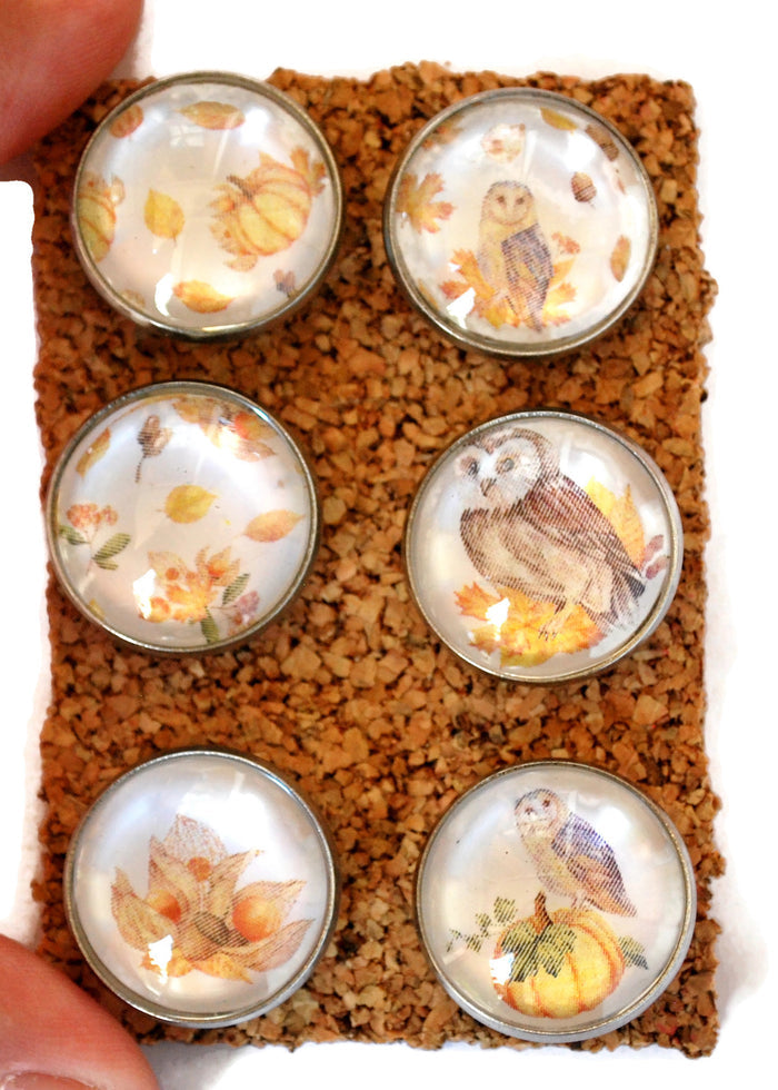 Large Autumn Owls Decorative Push Pins Thumbtacks and Corkboard Pushpins for Bulletin Boards