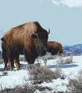 Bison Counted Cross Stitch Pattern, Download Printable