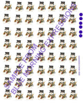 waterslide decals