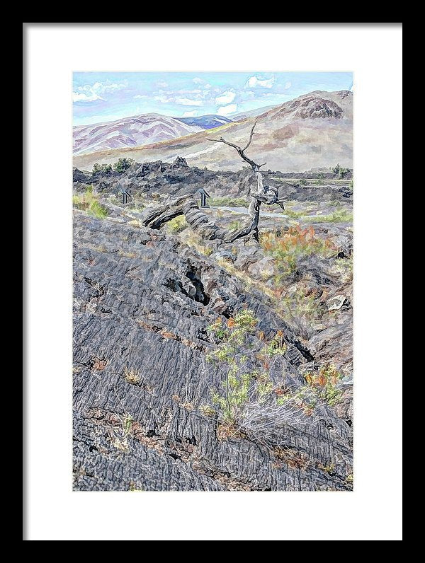 10.750" x 16.000" / Black / White