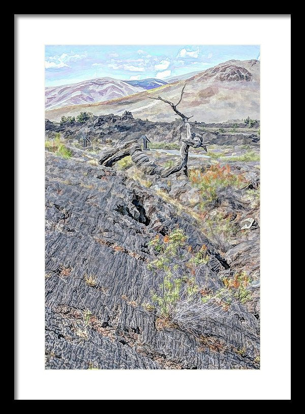 13.375" x 20.000" / Black / White