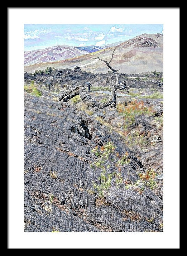 16.125" x 24.000" / Black / White