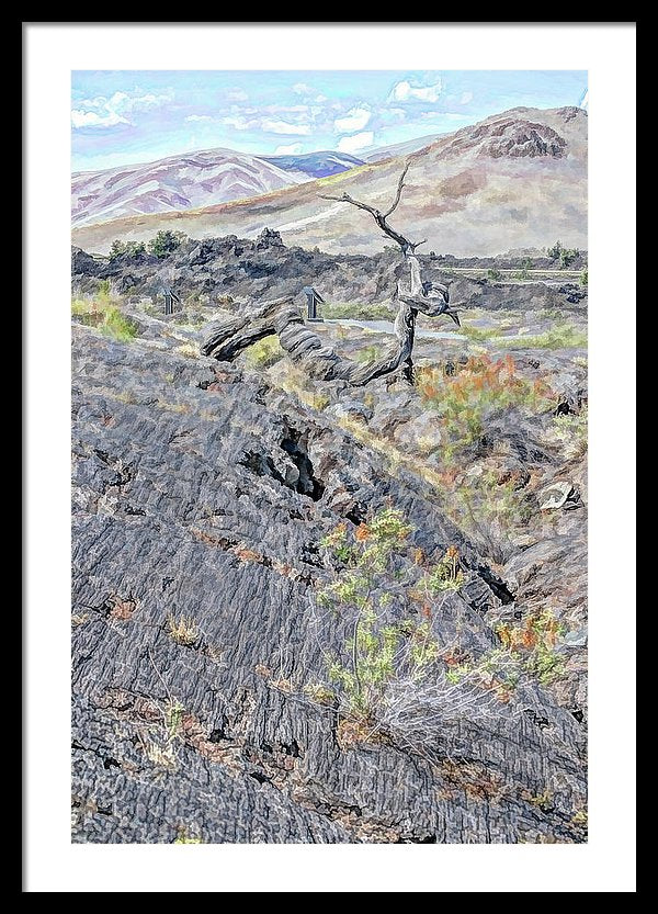 20.125" x 30.000" / Black / White