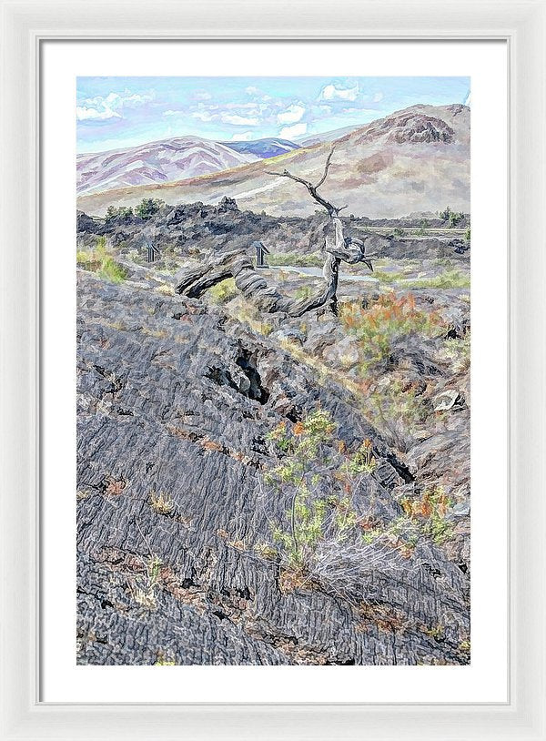 20.125" x 30.000" / White / White