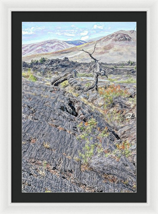 20.125" x 30.000" / White / Black