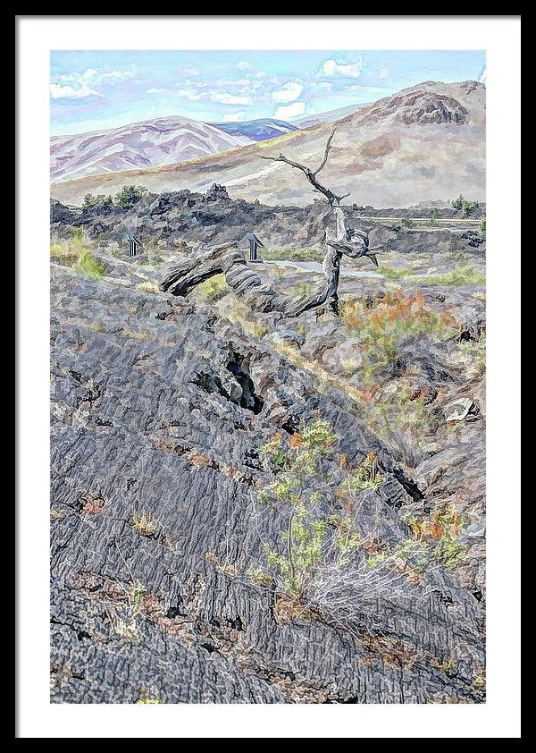 24.125" x 36.000" / Black / White