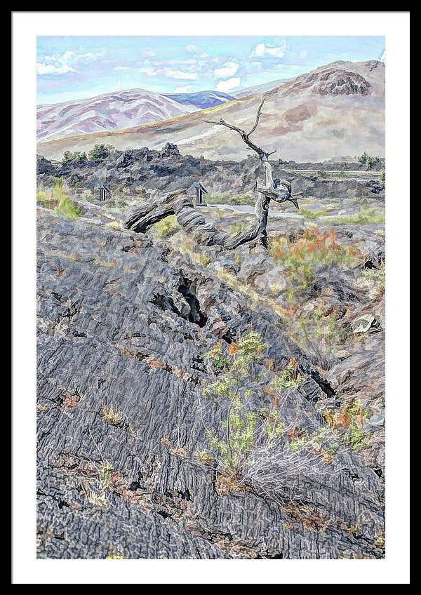 26.750" x 40.000" / Black / White