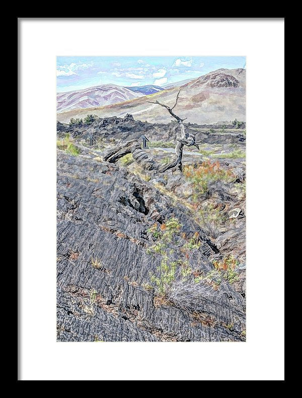 9.375" x 14.000" / Black / White