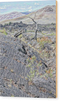 Craters Of The Moon - Wood Print