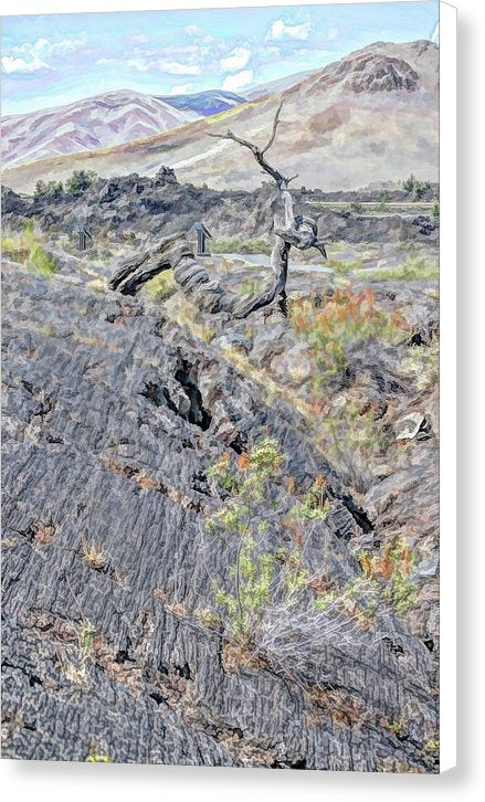 Craters Of The Moon Idaho Canvas Print  Wall Art Home or Office