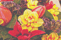 cross stitch pattern