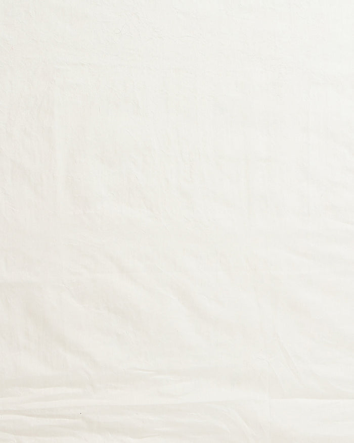 Dazzling Eri Tussar Silk Embroidered Cream Saree