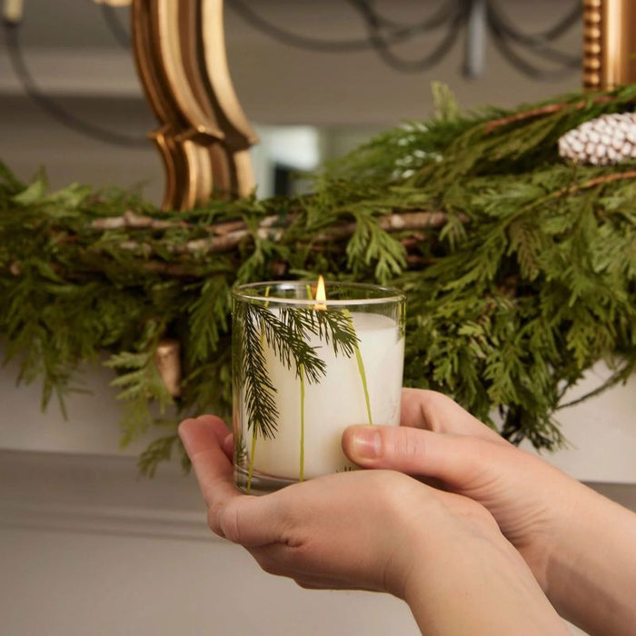 Frasier Fir 6.5 oz Poured Candle