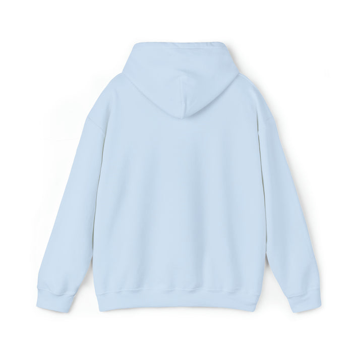 Gifts for Cowgirls Boots and Beer Girl Unisex Heavy Blend™ Hooded Sweatshirt