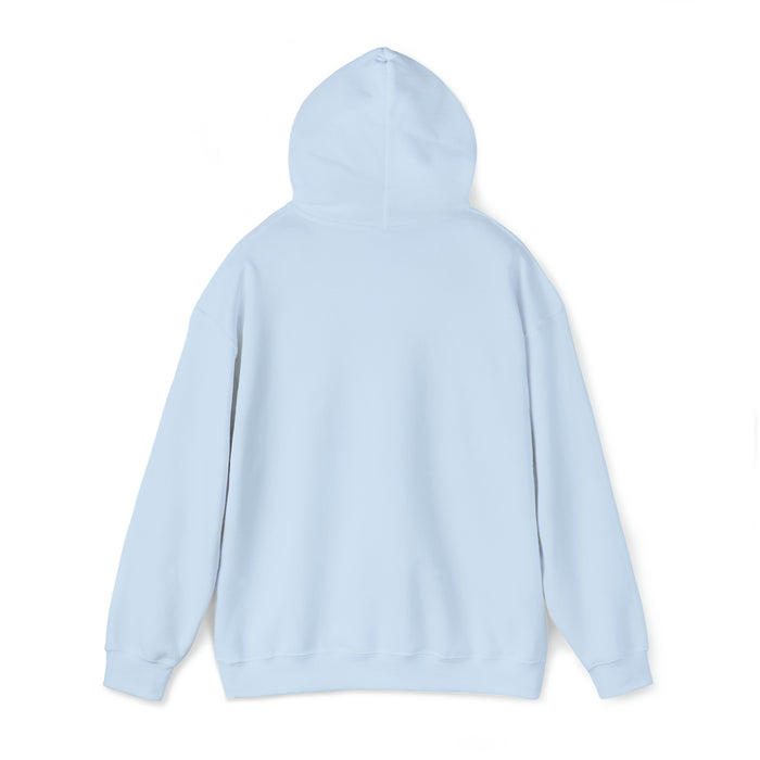 Gifts for Cowgirls Boots and Beer Girl Unisex Heavy Blend™ Hooded Sweatshirt