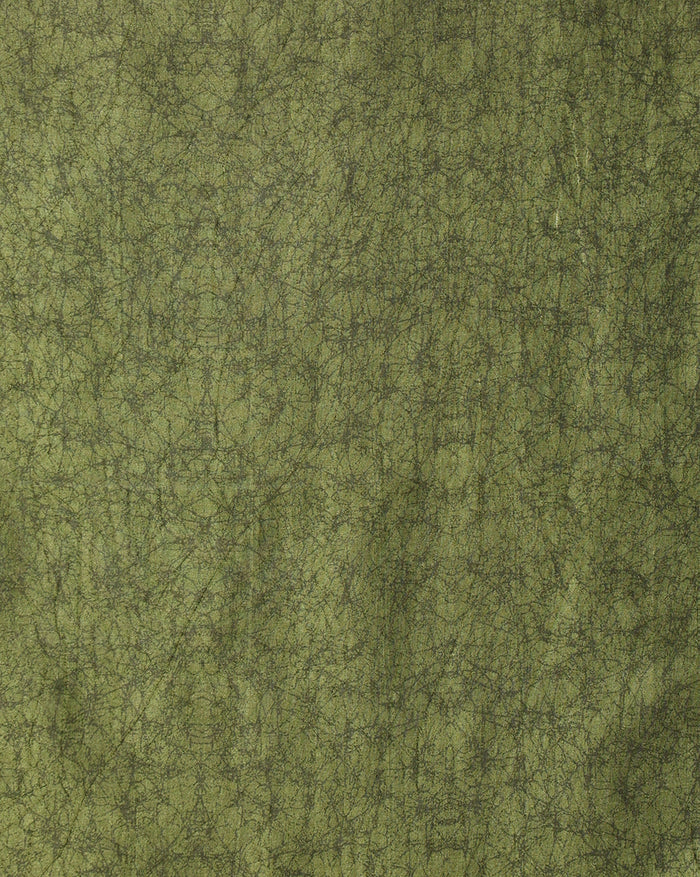 Indiehaat | Kashmiri Silk Printed Saree White & Green