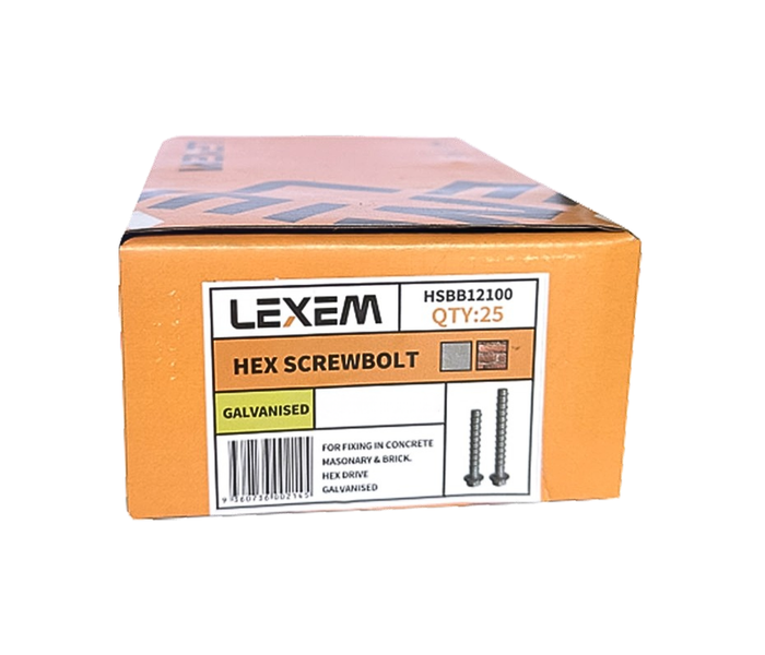 Hex Screwbolt - 10 x 100mm - BOX: 25 pcs (GAL)