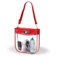 Large Clear Purse