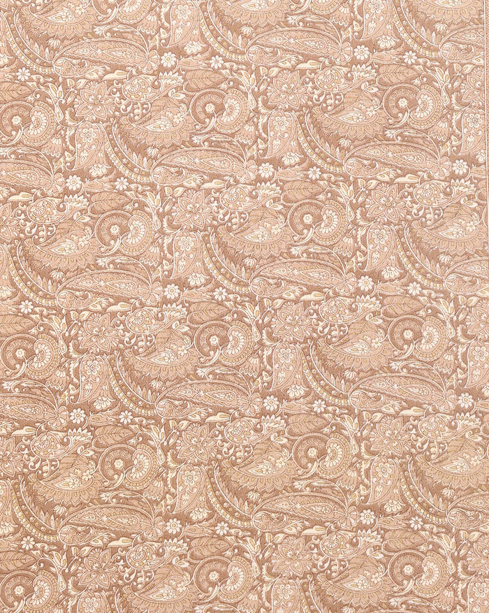 Indiehaat | Kashmiri Silk Printed Saree Light Brown & Beige