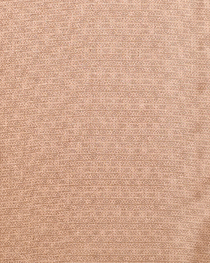 Indiehaat | Kashmiri Silk Printed Saree Light Brown & Beige
