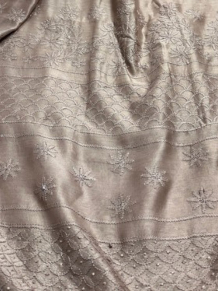 Indiehaat | Chikankari Pure Chanderi Silk Saree Beige