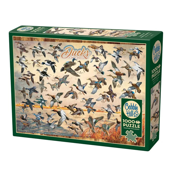 Puzzles