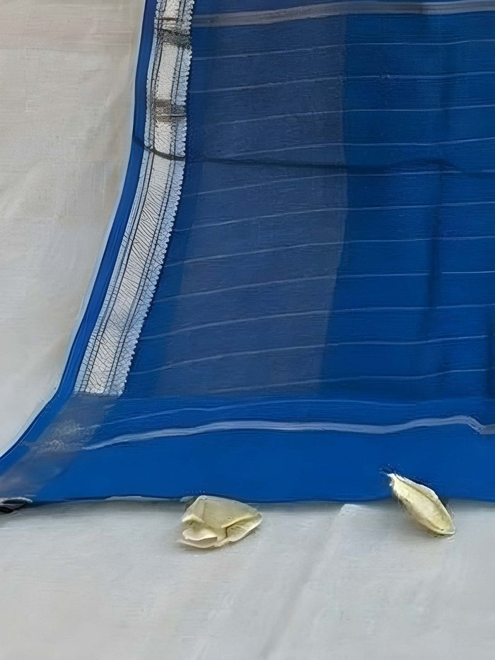 Indiehaat | Pure Chandei Silk Applique Saree Blue