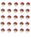 waterslide decals