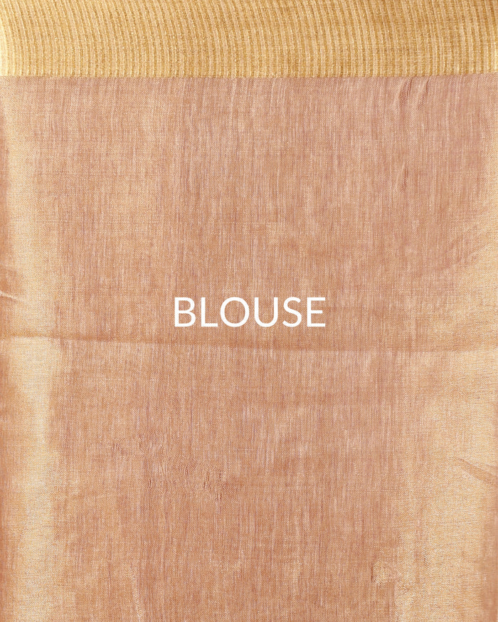 Indiehaat | Tissue Linen Embroidered Brown Saree