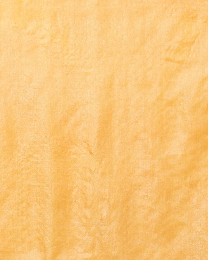 Silkmark Pure Tussar Bright Embroidered Saree Brown