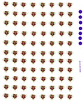 waterslide decals