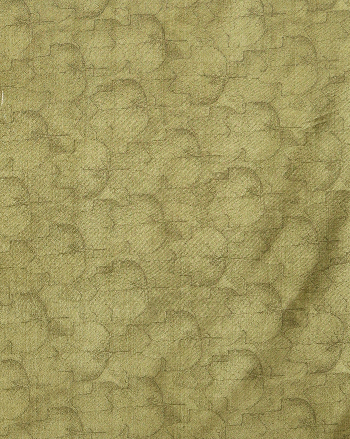 Indiehaat | Kashmiri Silk Printed Saree White & Olive Green