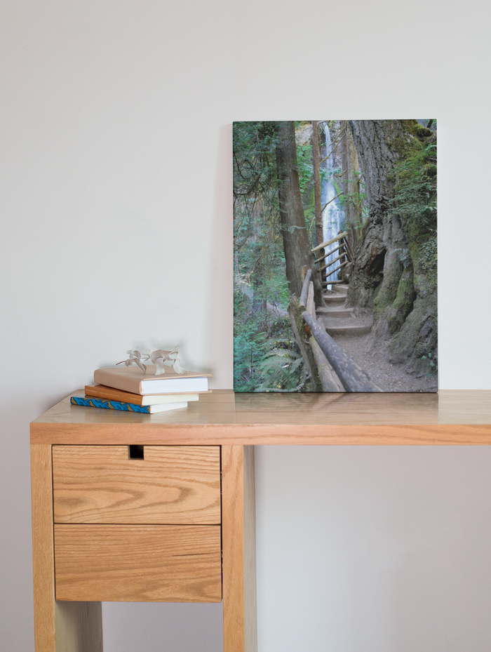 Wooded Trail Waterfall Hiking Art Canvas Print 4 Sizes Ecofriendly