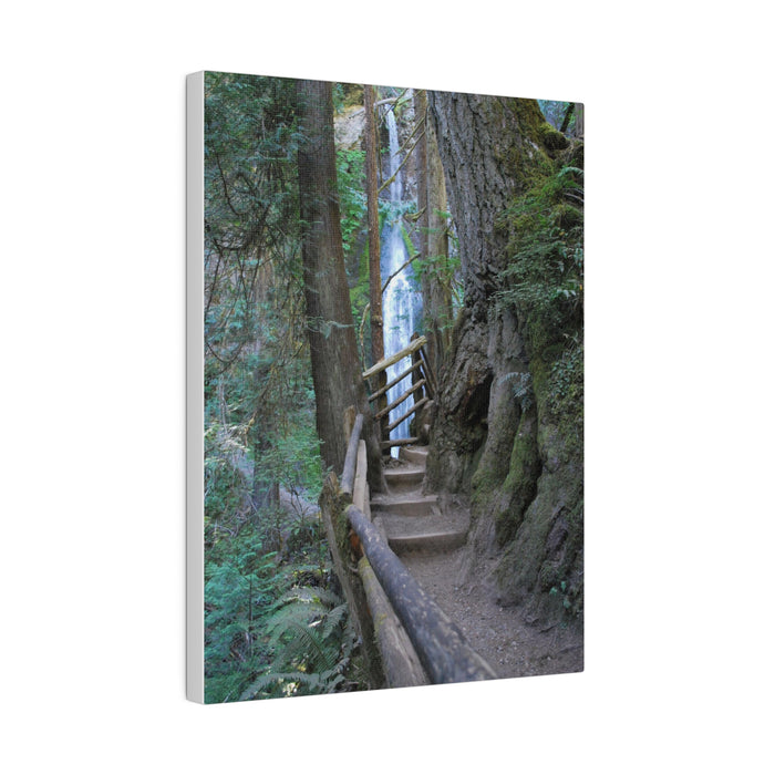 Wooded Trail Waterfall Hiking Art Canvas Print 4 Sizes Ecofriendly