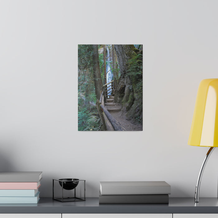 Wooded Trail Waterfall Hiking Art Canvas Print 4 Sizes Ecofriendly