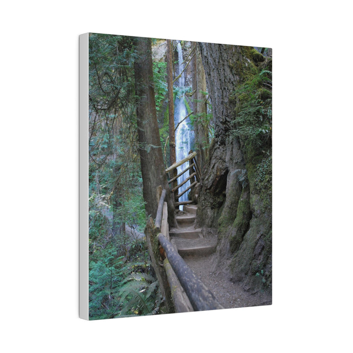Wooded Trail Waterfall Hiking Art Canvas Print 4 Sizes Ecofriendly